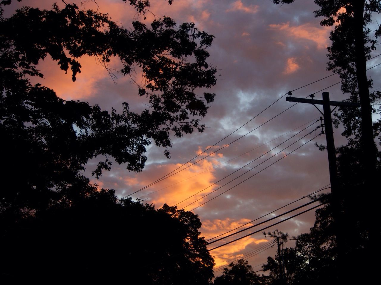 silhouette, sky, tree, sunset, low angle view, cloud - sky, power line, beauty in nature, cloudy, electricity pylon, scenics, tranquility, nature, electricity, cloud, cable, power supply, connection, tranquil scene, dramatic sky