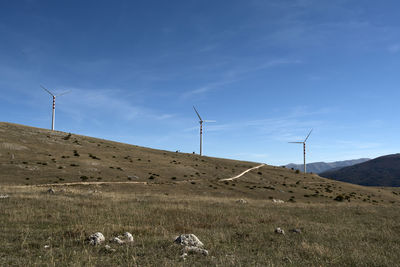 View of horse on field against sky