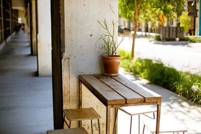 Close-up of potted plant on table in building