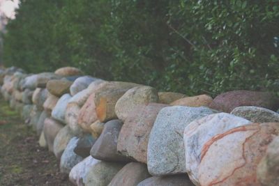 Close-up of rocks against trees
