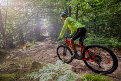 Rear view of man riding bicycle