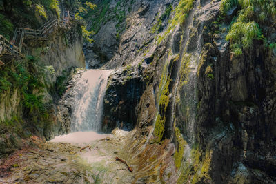 Scenic view of river amidst trees