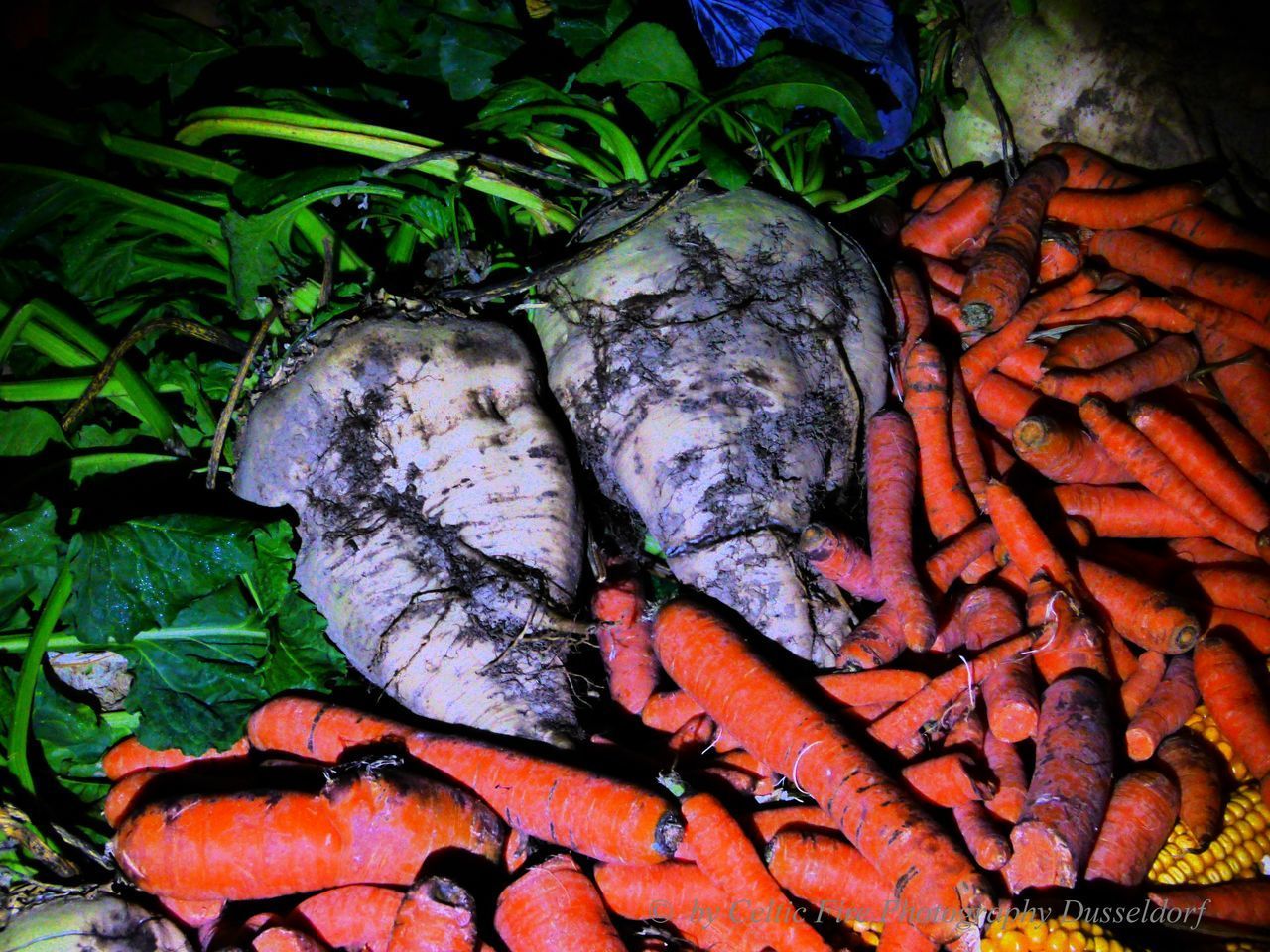 HIGH ANGLE VIEW OF VEGETABLES ON LEAVES