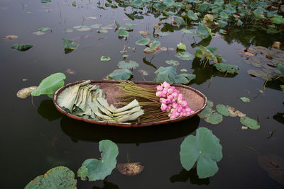 High angle view of lotus leaves floating on water in lake