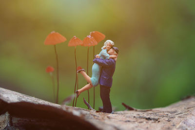 Close-up of figurines on tree trunk