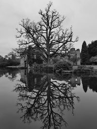 Reflection of trees in lake