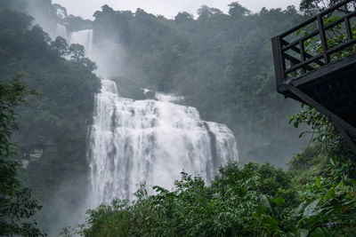 Scenic view of waterfall in forest