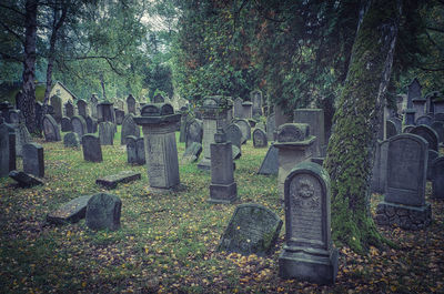 View of cross in cemetery