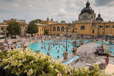 Group of people in swimming pool