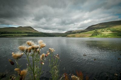 Scenic view of lake and mountains against sky