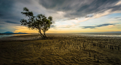 Scenic view of sea against sky at sunset