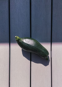 Close-up of lizard on wood