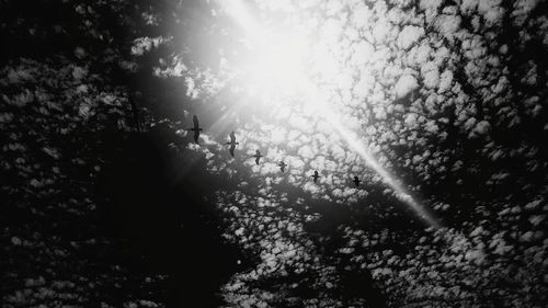 Low angle view of trees against sky