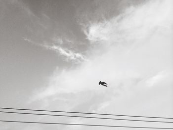 Low angle view of bird flying against sky