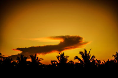 Silhouette trees against orange sky