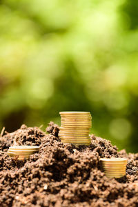 Close-up of coins on mud