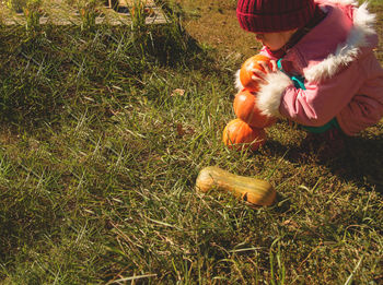 Child playing with pumpkins. harvesting and colors of autumn. preparing for the holidays. 