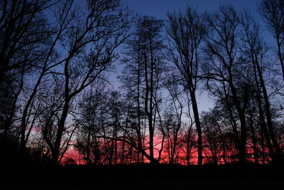 Silhouette bare trees in forest against sky