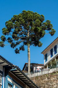 Low angle view of palm tree and building against sky