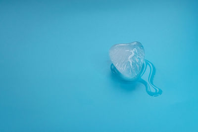 Close-up of jellyfish against blue background