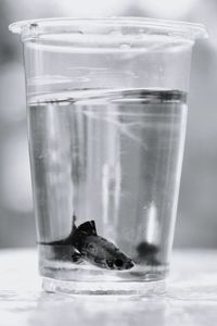 Close-up of drinking water in glass