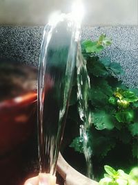 Close-up of wine glass