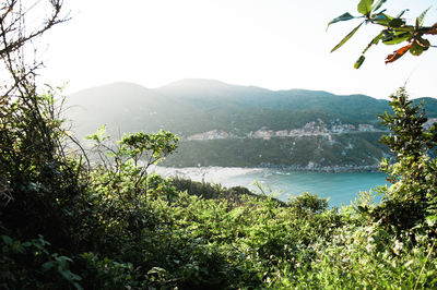 Scenic view of sea against clear sky