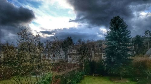 Trees on field against cloudy sky