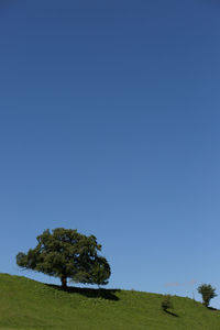 Trees on landscape against clear blue sky