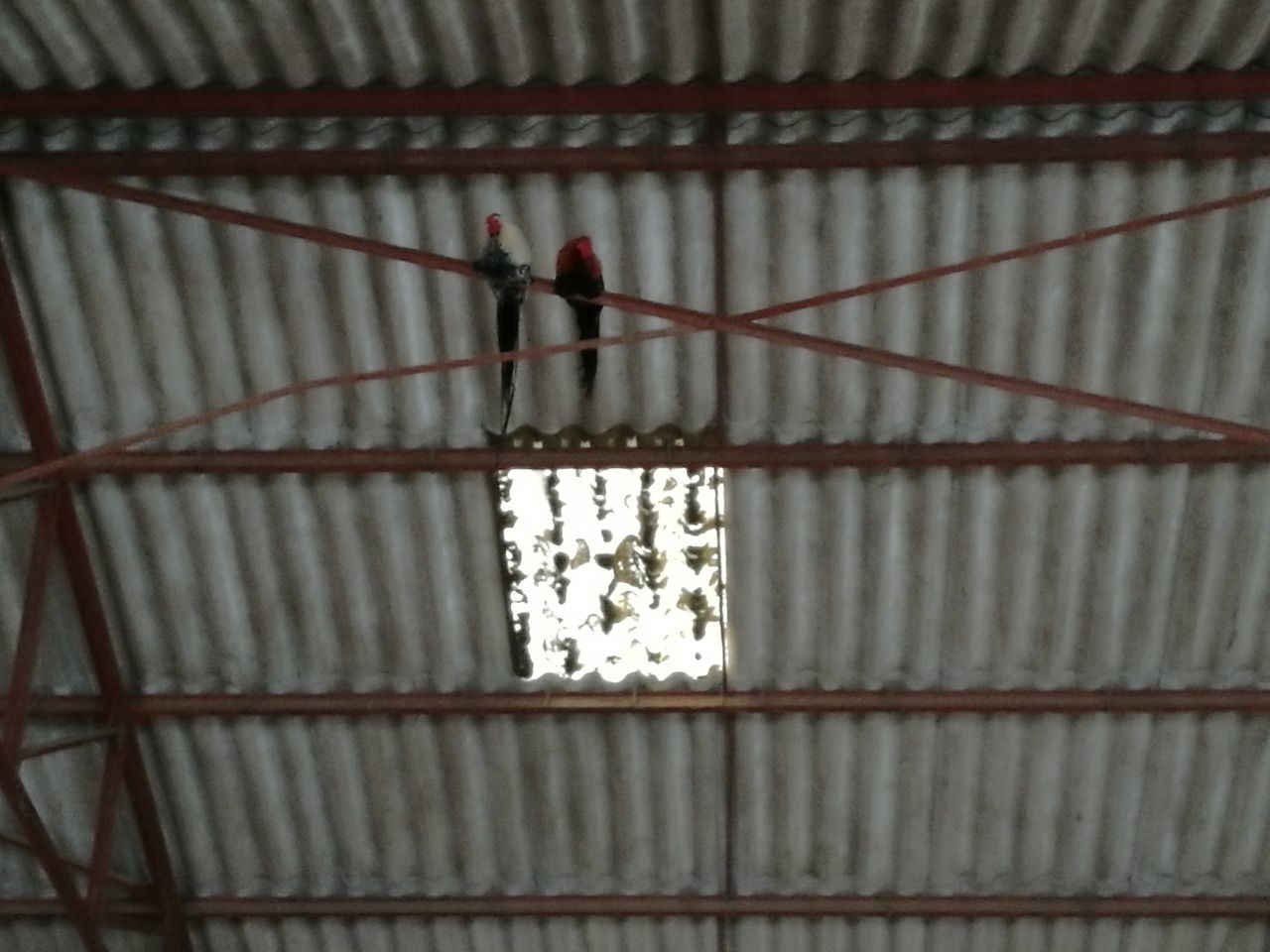 indoors, no people, day, pattern, low angle view, architecture, red, close-up, hanging, built structure, working, wall - building feature, full frame, ceiling, full length