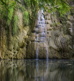 Scenic view of waterfall in forest