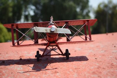 Close-up of plant against white background