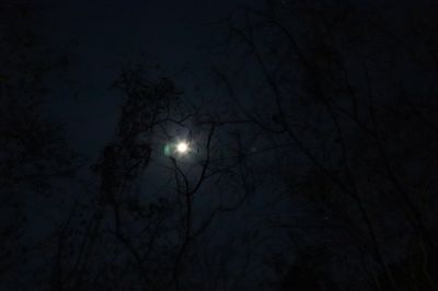 Low angle view of silhouette trees against sky at night