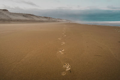 Footprints on sand at beach against sky