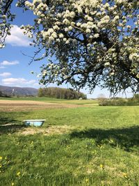 Scenic view of field against sky