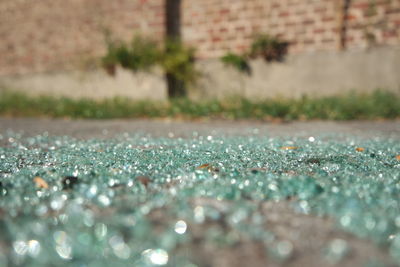 Close-up of water drops on glass wall