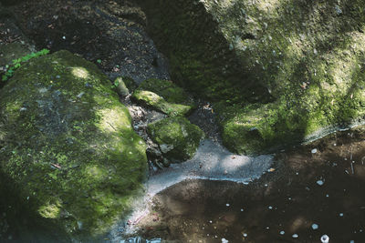 High angle view of stream amidst rocks