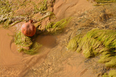 High angle view of rocks on land