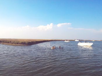 Swans swimming in sea against sky