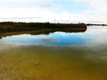 Reflection of trees in calm sea