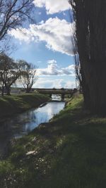 Scenic view of river by trees against sky