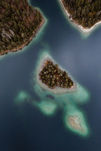 High angle view of fruits in sea