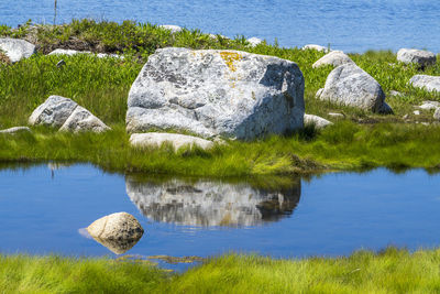 Scenic view of lake