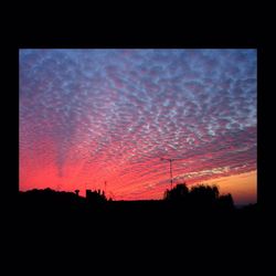 Low angle view of silhouette trees against sky at sunset