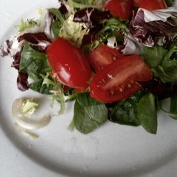 Close-up of salad in plate