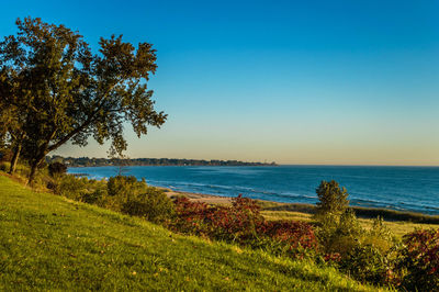 Scenic view of calm sea against clear sky