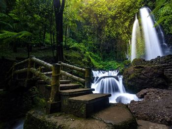 Waterfall in forest