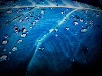 Close-up of water drops