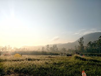 Scenic view of field against sky