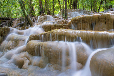 Scenic view of waterfall in forest